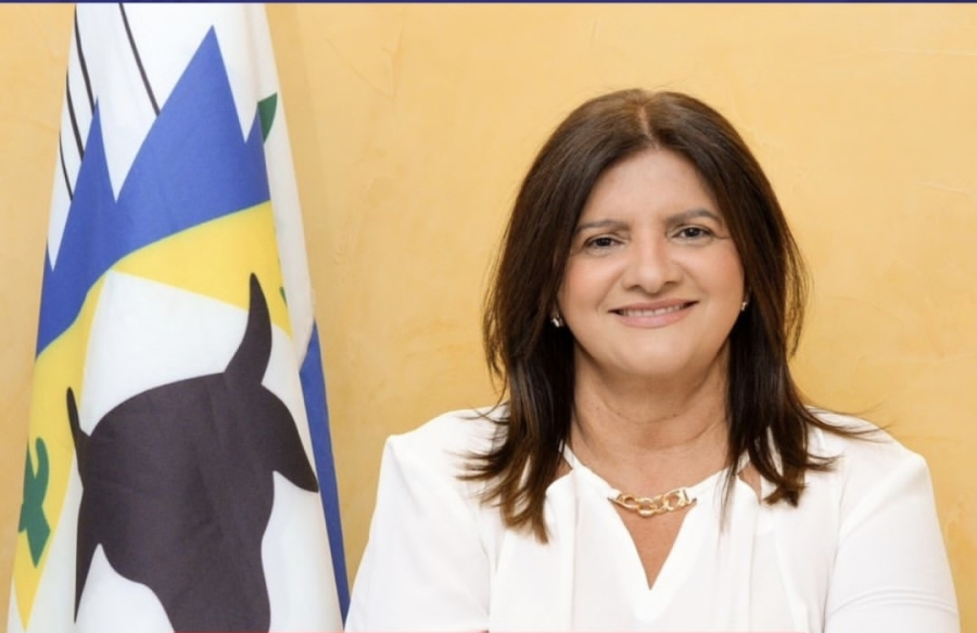 Após entrega de 14 ônibus novos, Câmara aprova programa para transporte universitário