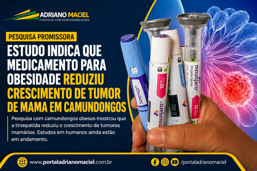 Estudo aponta que medicamento para obesidade reduziu crescimento de tumor de mama em camundongos