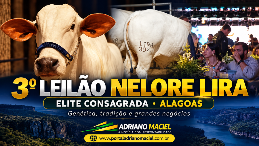 Alagoas realiza grande encontro de negócios com a 3ª edição do Leilão Nelore Lira Elite Consagrada
